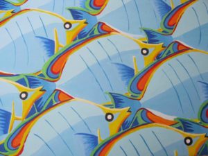 pesci farfalla, cm 50x35