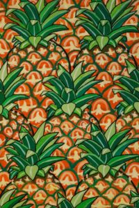 ananas, cm. 35x50 (euro 50)