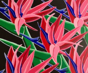 strelitzia fuxia, cm 50x50